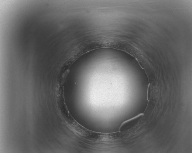 X0000071770750200607150028