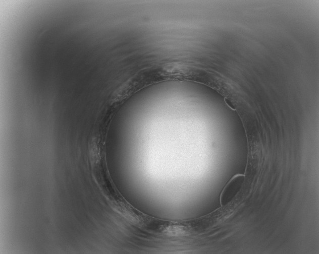 X0000071770751200607150028