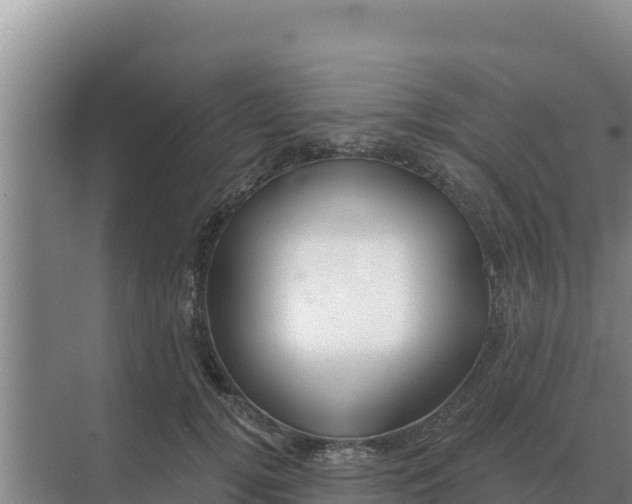 X0000071770752200607150028