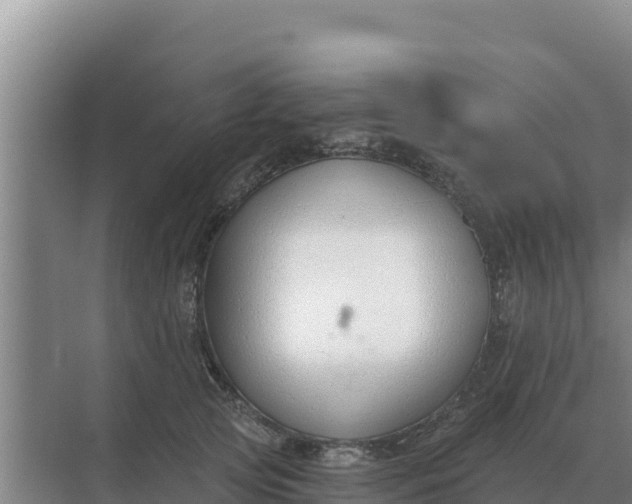 X0000071770753200607150028