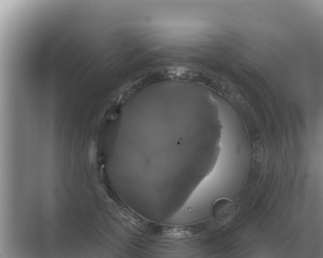 X0000071770754200607150028