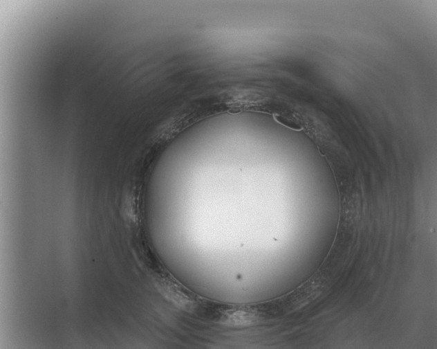 X0000071770755200607150028