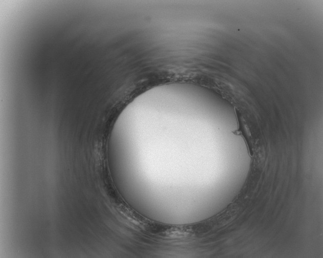 X0000071770756200607150028