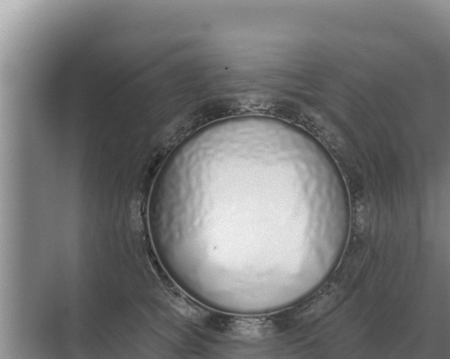 X0000071770757200607150028