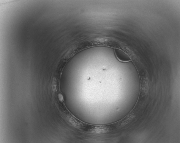 X0000071770758200607150028