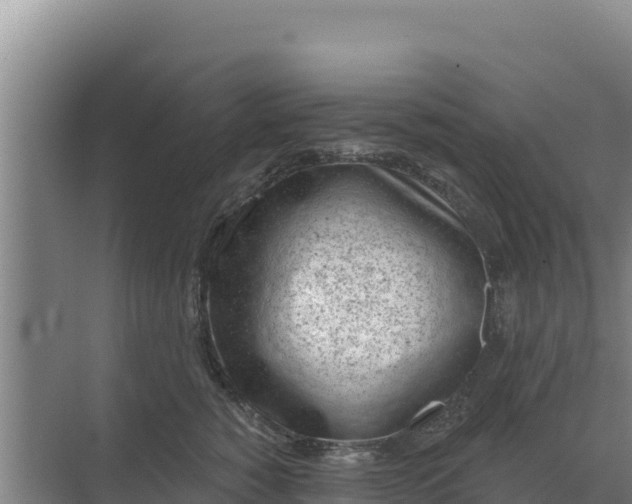 X0000071770760200607150028