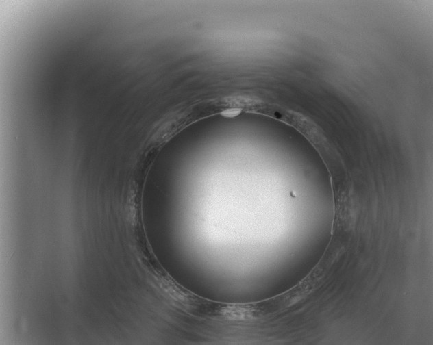 X0000071770762200607150028