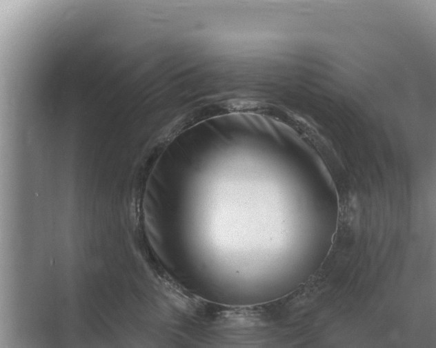 X0000071770763200607150028