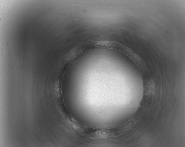 X0000071770764200607150028