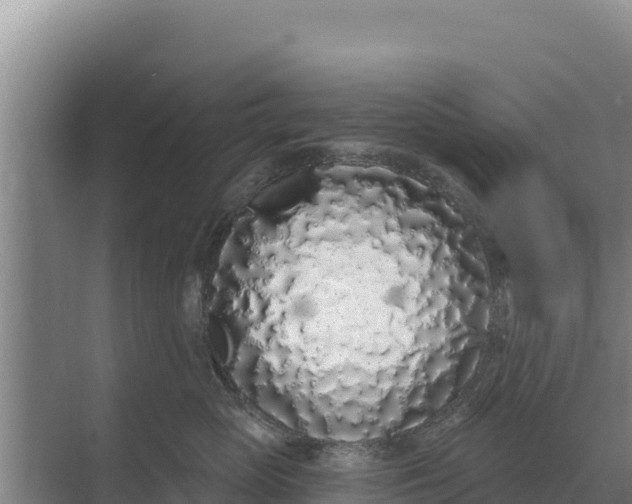 X0000071770765200607150028