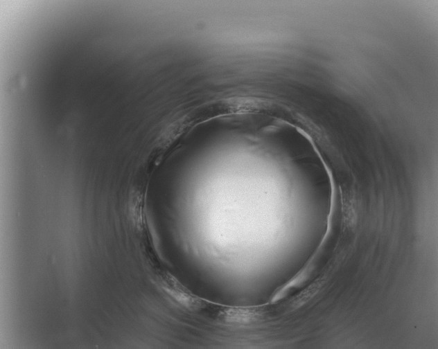 X0000071770766200607150028