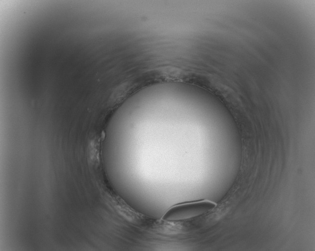 X0000071770768200607150028