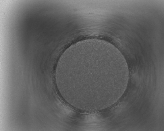 X0000071770769200607150027