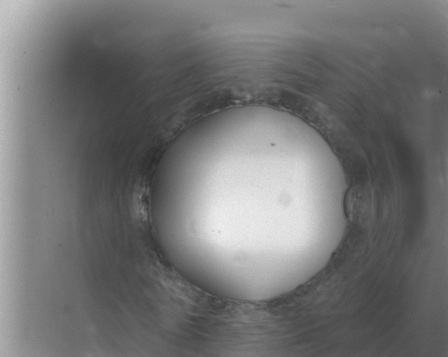 X0000071770770200607150027