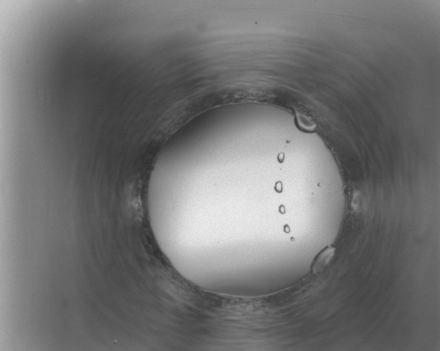 X0000071770771200607150027