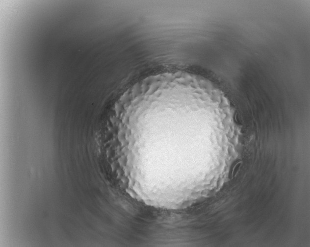 X0000071770772200607150027