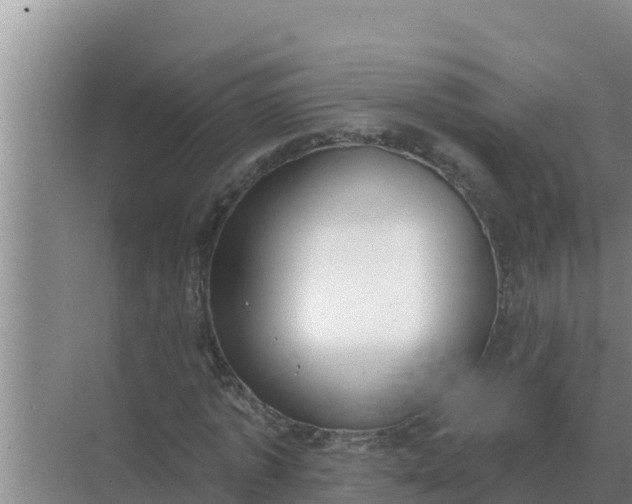 X0000071770773200607150027