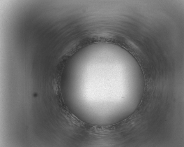 X0000071770774200607150027