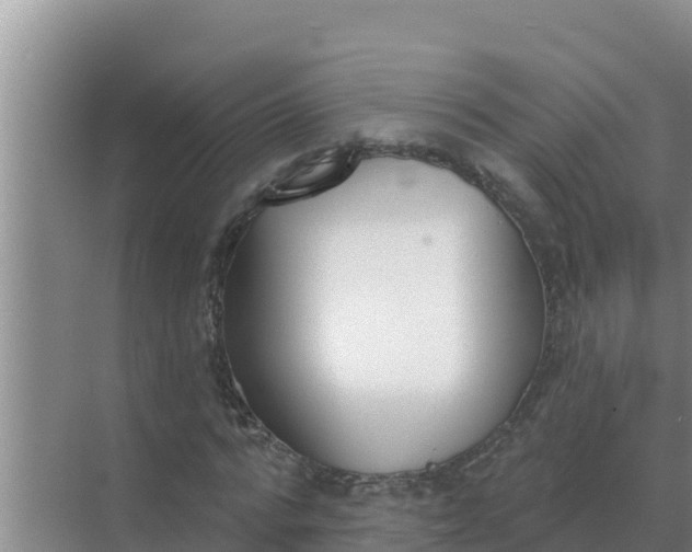 X0000071770776200607150027