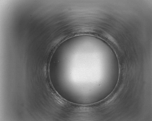 X0000071770777200607150027