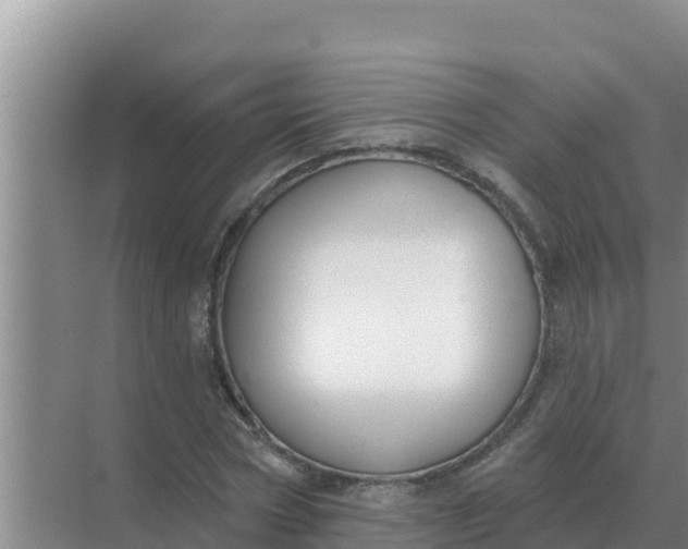 X0000071770778200607150027