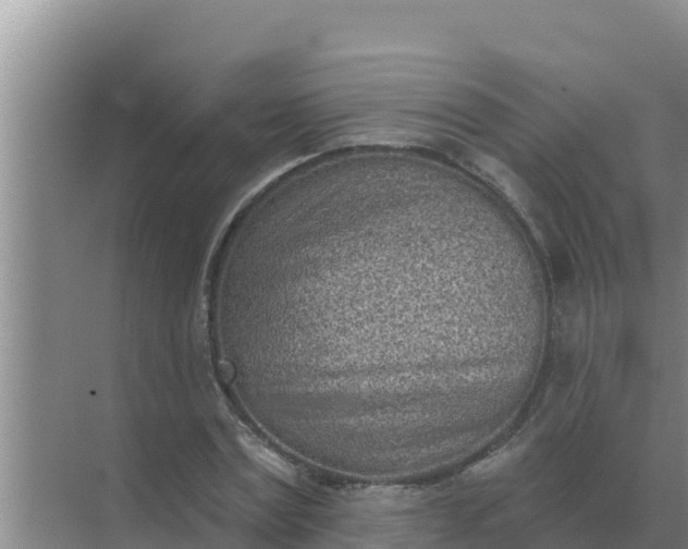 X0000071770779200607150027