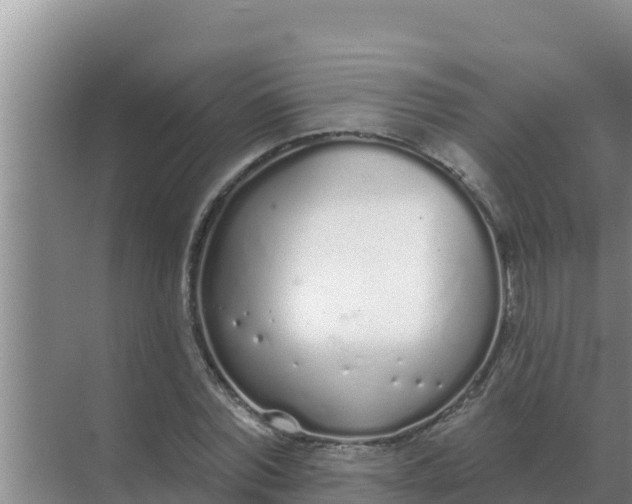 X0000071770780200607150027