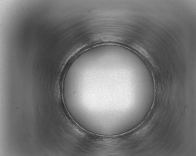 X0000071770782200607150027