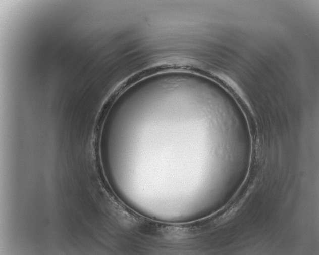 X0000071770783200607150027