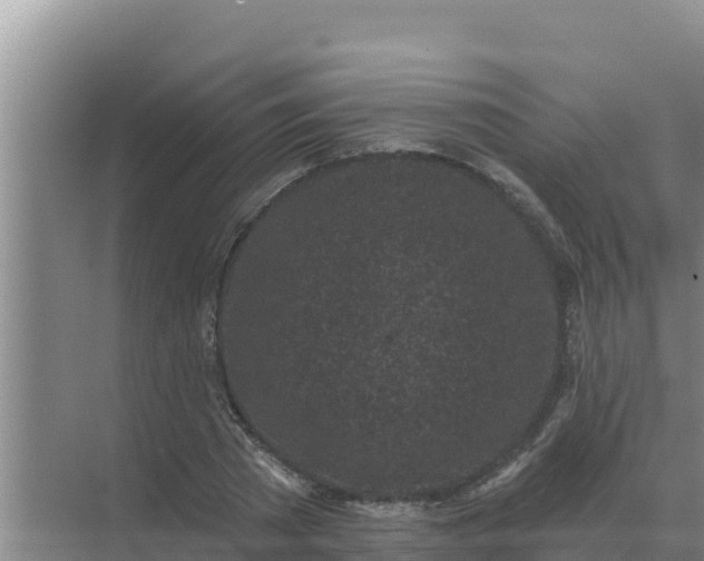 X0000071770785200607150027