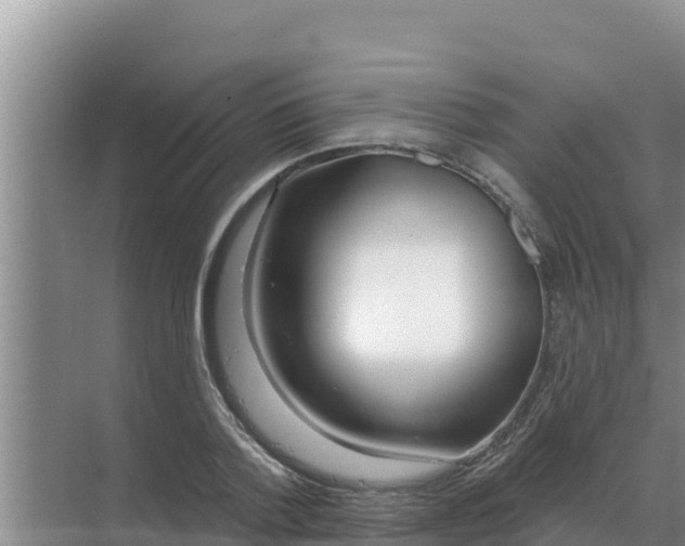 X0000071770788200607150027