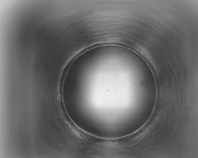 X0000071770789200607150027