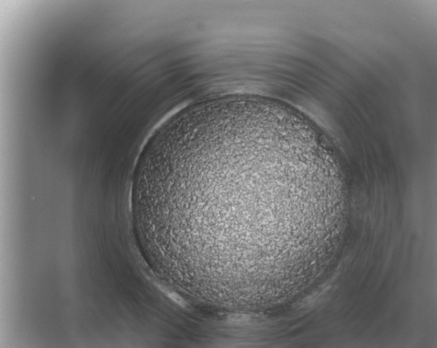 X0000071770790200607150027