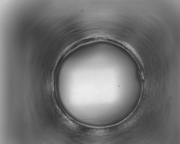 X0000071770791200607150027