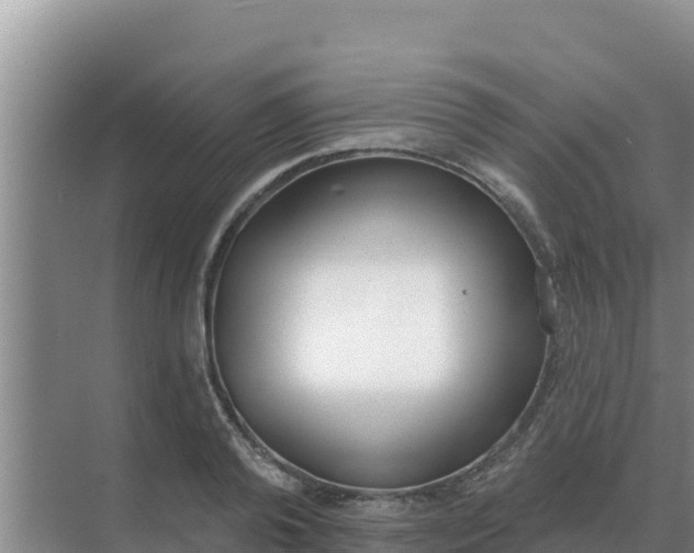 X0000071770792200607150027