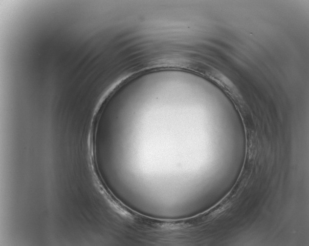 X0000071770796200607150027