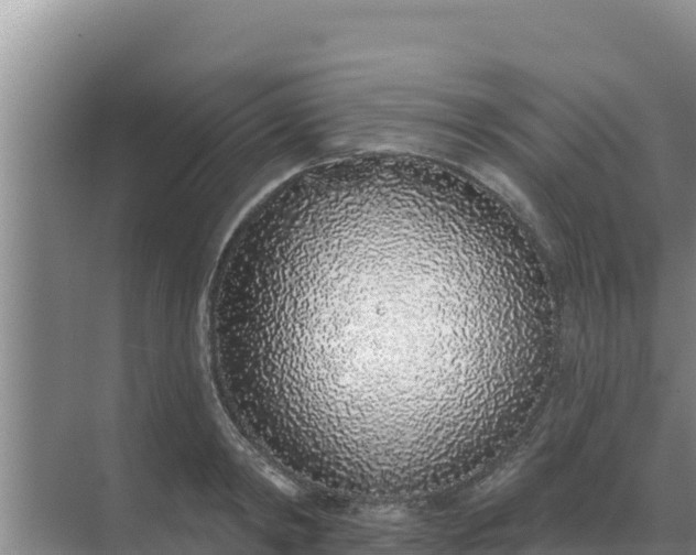 X0000071770798200607150027