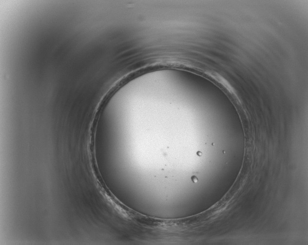 X0000071770799200607150027