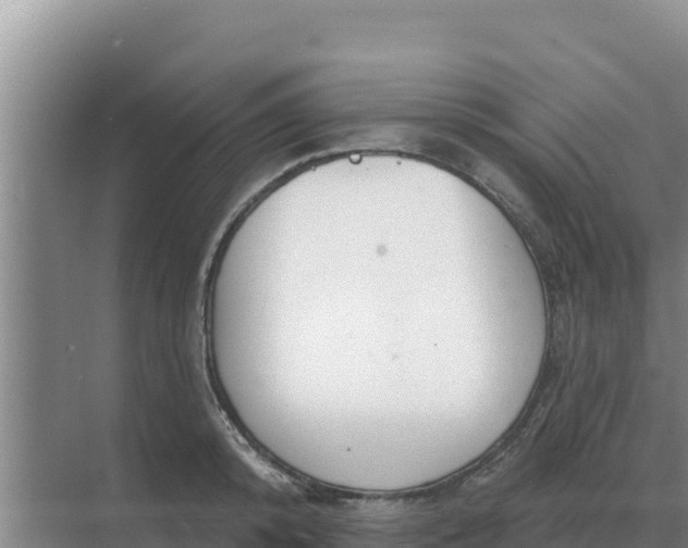 X0000071770800200607150027