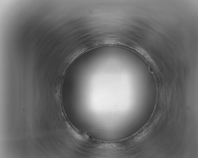 X0000071770801200607150027