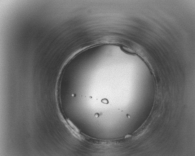 X0000071770803200607150027