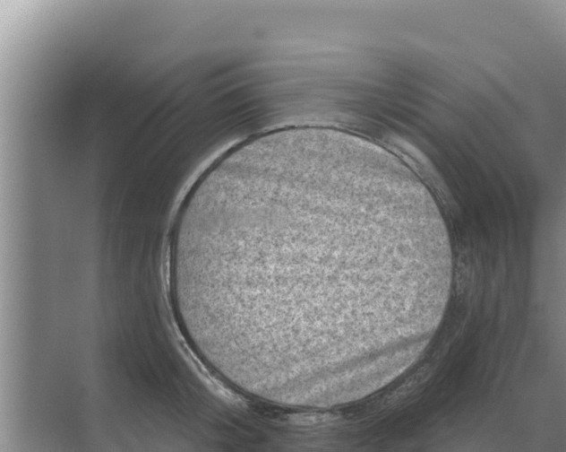 X0000071770804200607150027