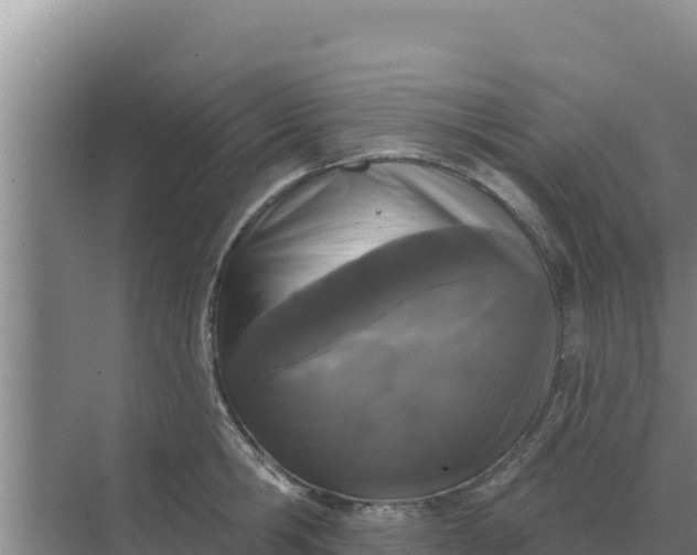 X0000071770806200607150027