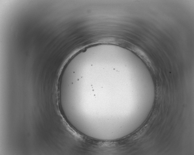 X0000071770808200607150027