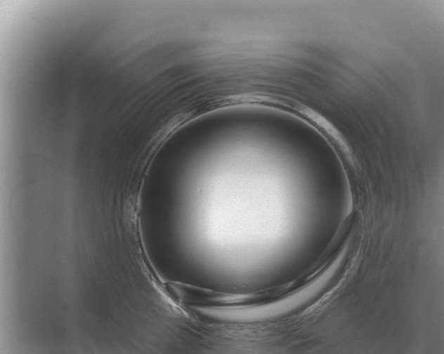 X0000071770809200607150027