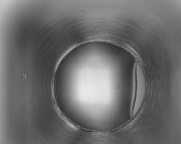 X0000071770812200607150027