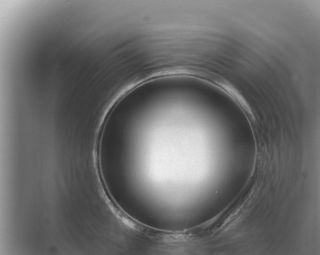 X0000071770813200607150027