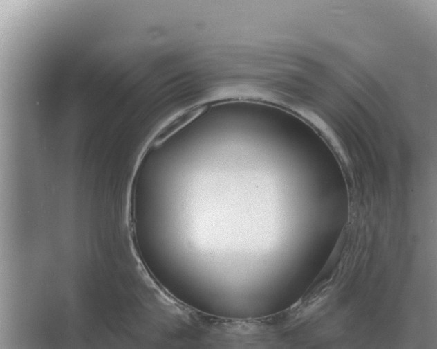 X0000071770815200607150027