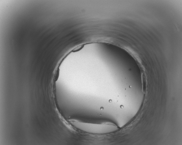 X0000071770816200607150026