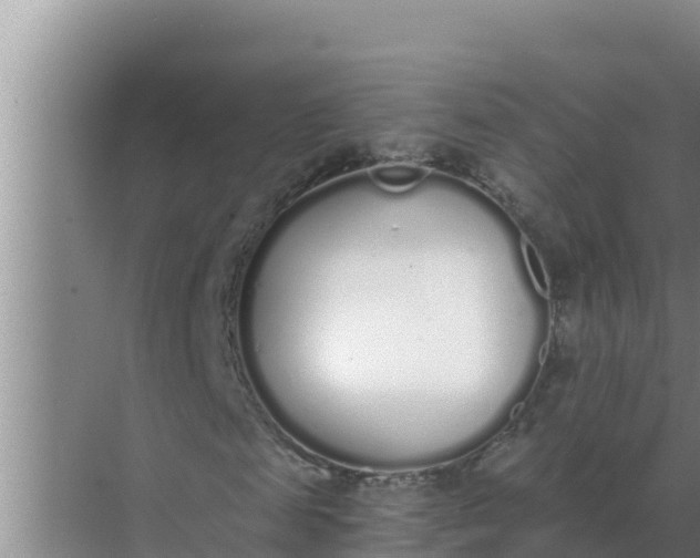 X0000071770817200607150026